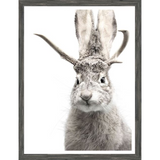 Jackalope