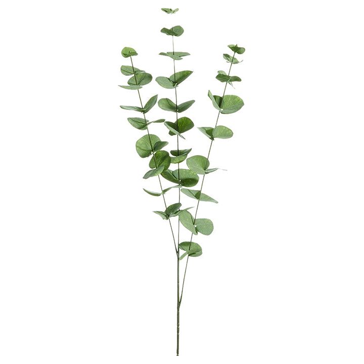 40" Eucalyptus Spray