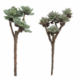 Faux Succulent Branch