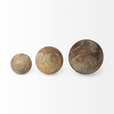 Carri Decorative Spheres