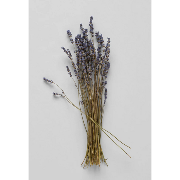 Dried Lavender Bunch