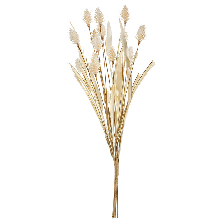 16" Bunny Tail Pampas Grass Bundle