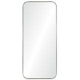 Delphinus Mirror